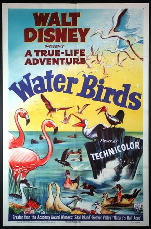 Water Birds, 