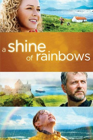 SHINE OF RAINBOWS, A, Connie Nielsen, Aidan Quinn, Tara Alice Scully, Jack Gleeson, Niamh Shaw, Ian McElhinney, Karl O'Neill