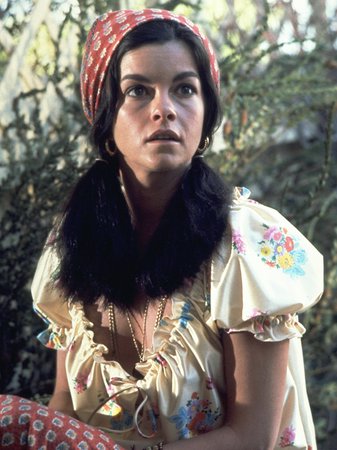 Alex & the Gypsy, Jack Lemmon,Geneviève Bujold,James Woods,Gino Ardito,Robert Emhardt,Joseph X. Flaherty,Todd Martin,Victor Pinhiero,Joe Flaherty,Titos Vandis